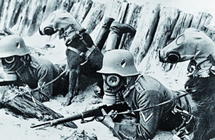 حیواناتی که در معروفترین ارتشهای جهان خدمت کردند