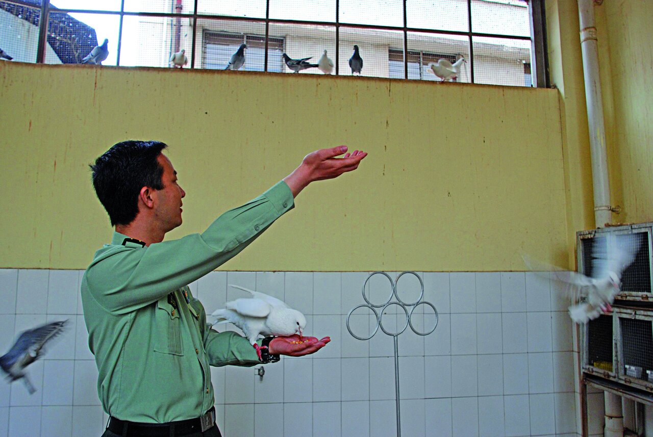 حیواناتی که در معروفترین ارتشهای جهان خدمت کردند