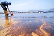 اولین تصاویر ساحل گناوه در حصار لکه‌های نفتی ؛ سطح آلودگی بسیار زیاد است | رئیس محیط‌ زیست: منبع اتفاق هنوز مشخص نیست