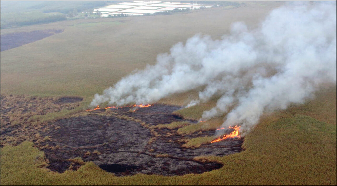 تالاب سه روز است که می سوزد