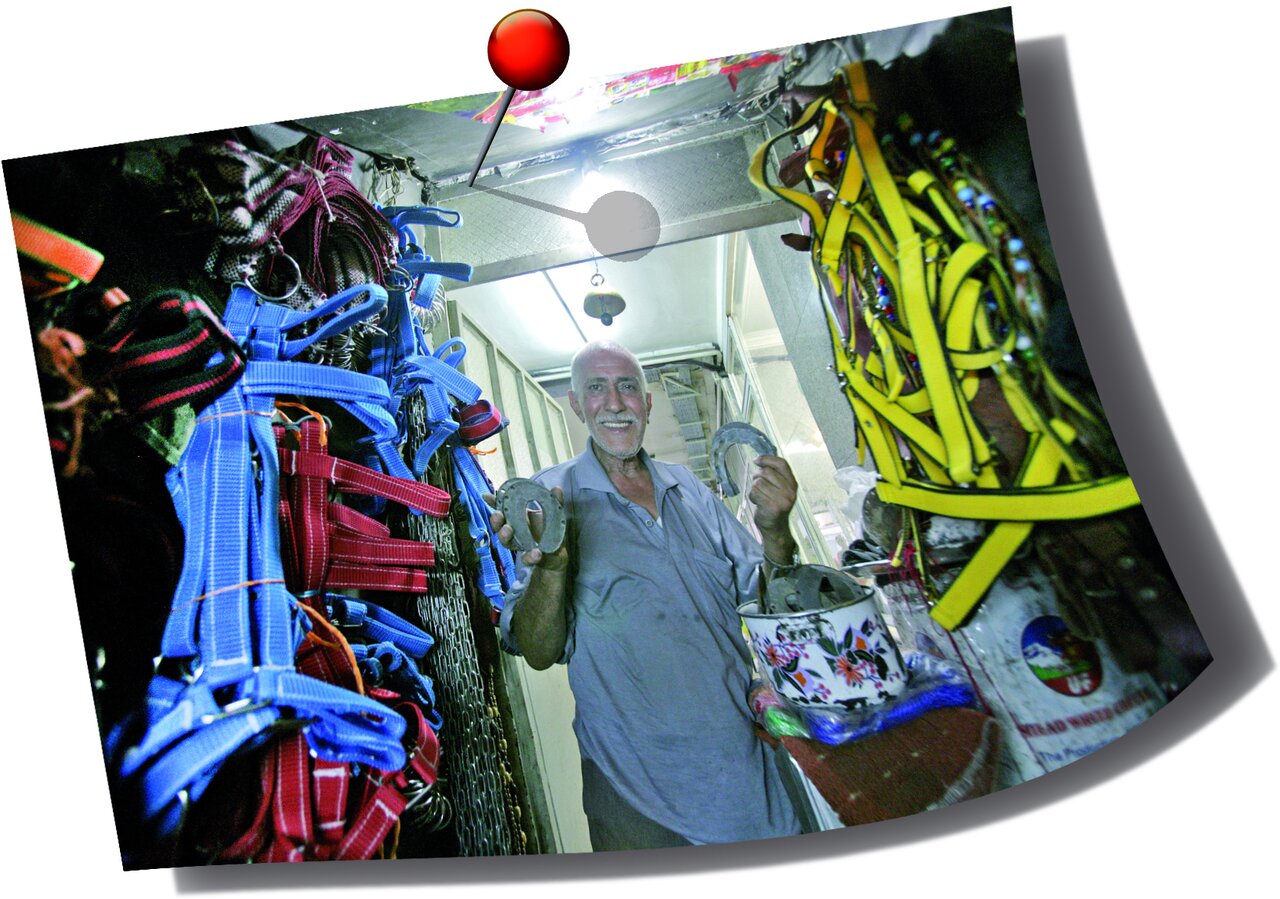 خاطرات جالب تنها نعلبند شهر | از این مغازه صدای سم اسب میآید