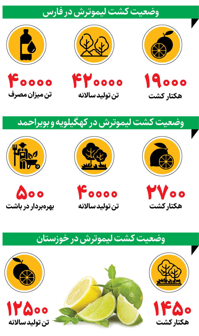 آمار یک کشت و کار گرمسیری | کدام استانها بیشترین لیموترش را تولید میکنند؟