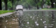 عکس| خسارت های شدید بارش تگرگ به خودروها در یک شهر ایران