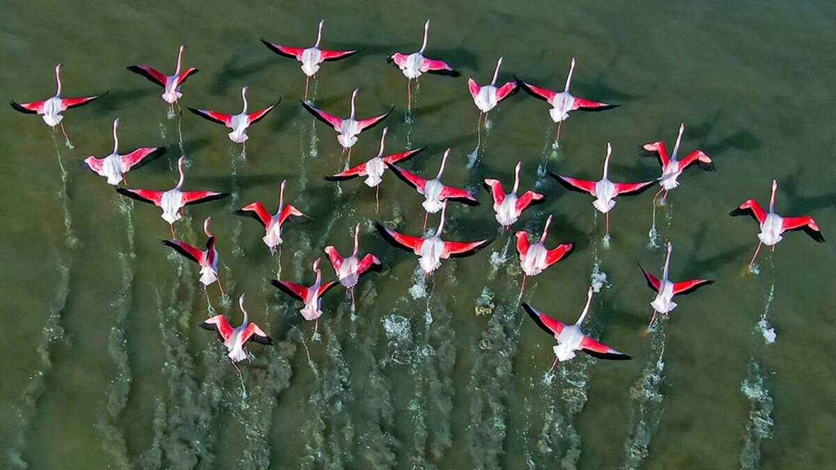 ابطال مالکیت منابع طبیعی بر زمین های آشوراده | اختلاف در طرح گردشگری آشوراده به نفع بنیاد مسکن تمام شد