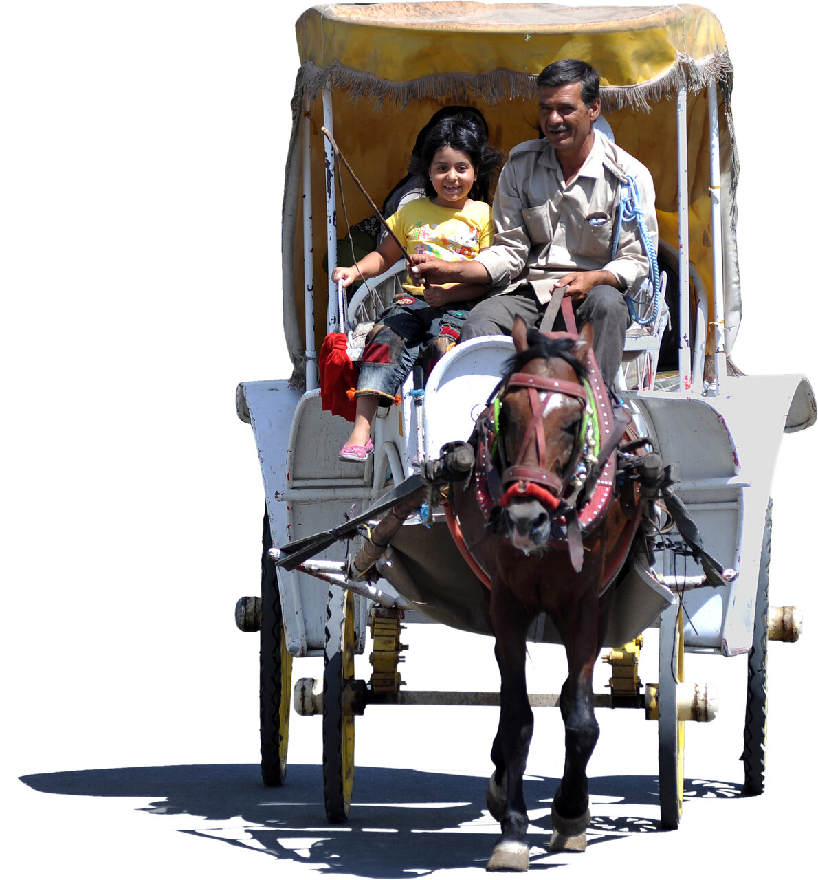 لذت درشکهسواری در پیادهراههای قلب تهران | وقتی هدیه صاحبمنصبان وسیله تردد عمومی شد