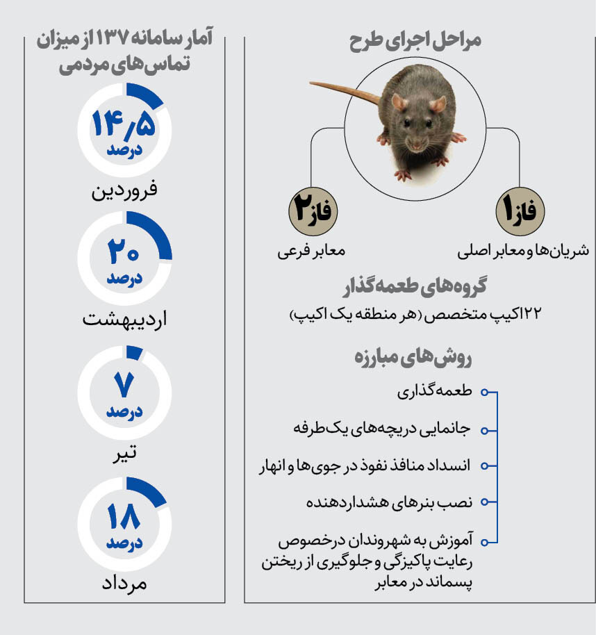 اینفوگرافیک | شبیخون به موشهای تهران | شکایت مردمی از موشها کمتر شد