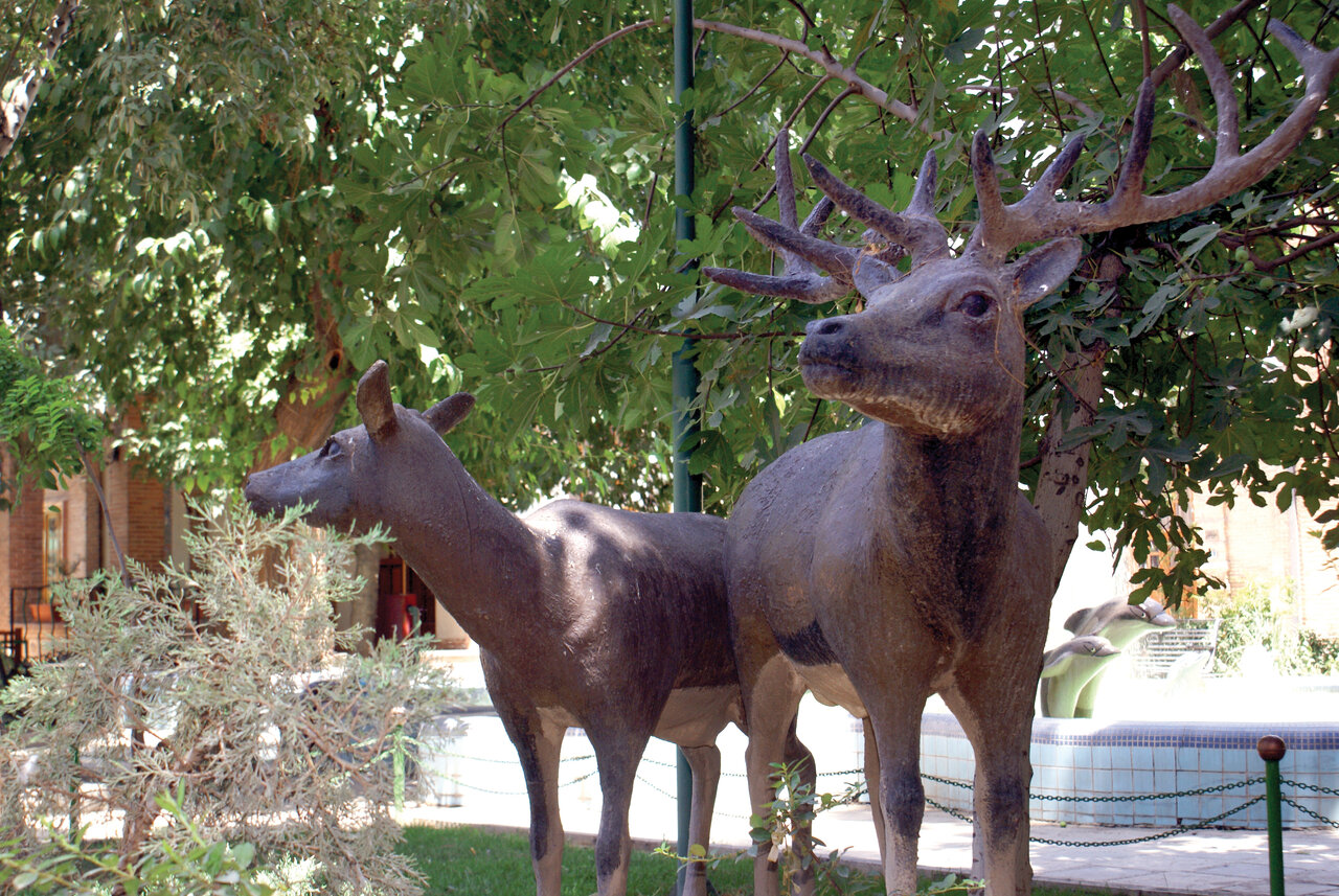 اگر قصد خرید دارید به این منطقه از تهران سفر کنید
