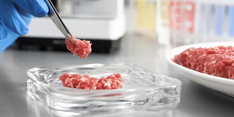 نحوه ساخت گوشت مصنوعی ؛ گوشت مصنوعی جایگزینی برای گوشت حیوانی؟ | مزایا و معایب گوشت مصنوعی در یک نگاه