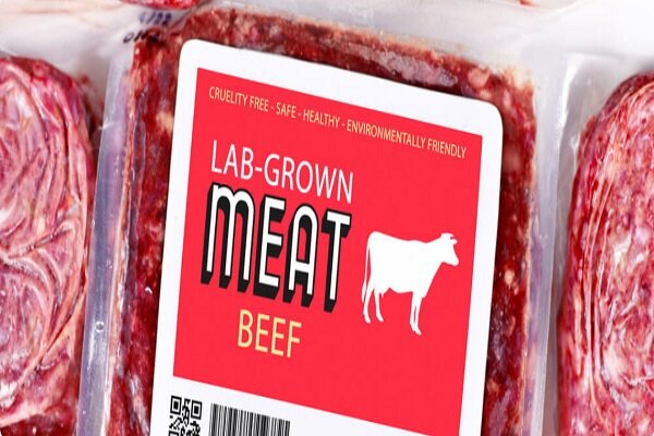 نحوه ساخت گوشت مصنوعی ؛ گوشت مصنوعی جایگزینی برای گوشت حیوانی؟ | مزایا و معایب گوشت مصنوعی در یک نگاه