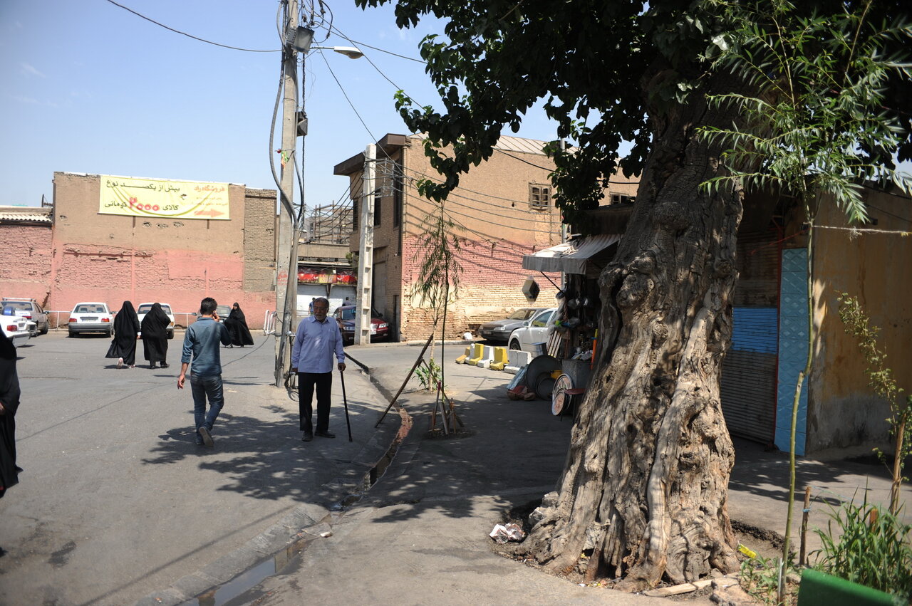 خانههای رویایی کوچه شاه غلامون | خاطراتی که آدمها زنده نگهش میدارند