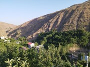 آردینه؛ روستایی در شرق تهران| خاستگاه میوه‌های تابستانه اینجاست