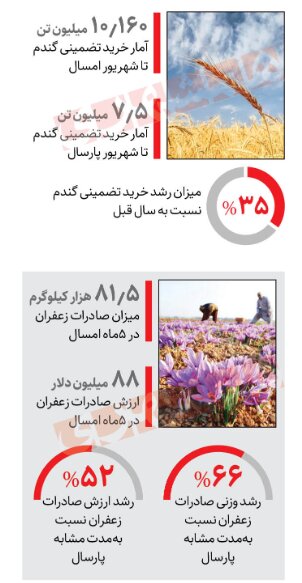 آمار و ارقام رشد تولید محصولات کشاورزی | افزایش ۶۰ درصدی صادرات زعفران