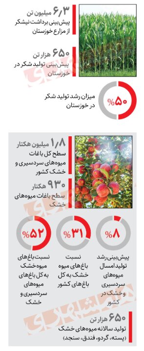 آمار و ارقام رشد تولید محصولات کشاورزی | افزایش ۶۰ درصدی صادرات زعفران