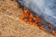 تصاویر | آتش سوزی در اراضی منطقه حفاظت شده دریاچه نئور