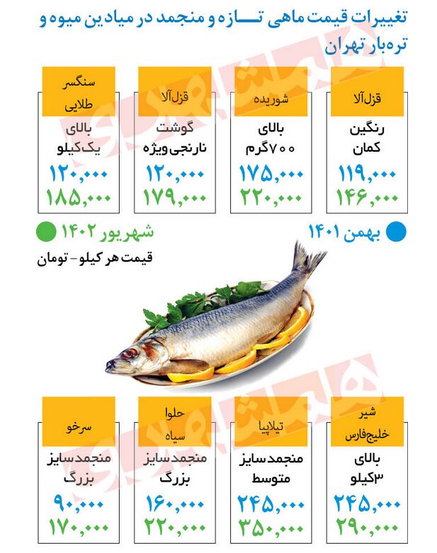 افزایش قیمت ماهی در میادین میوه و تره‌ بار | هر کیلو قزل آلا چند؟