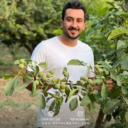خرید ارقام نهال میوه تجاری در ایران با مجوز جهاد کشاورزی