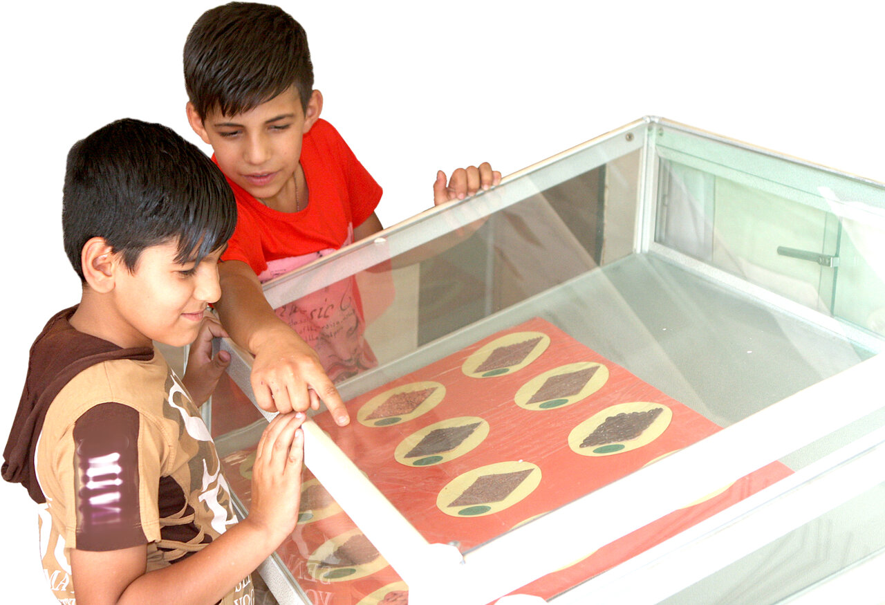 گیاهشناسی در باغ فـاروق | در خانه گل و گیاه پرورش دهید