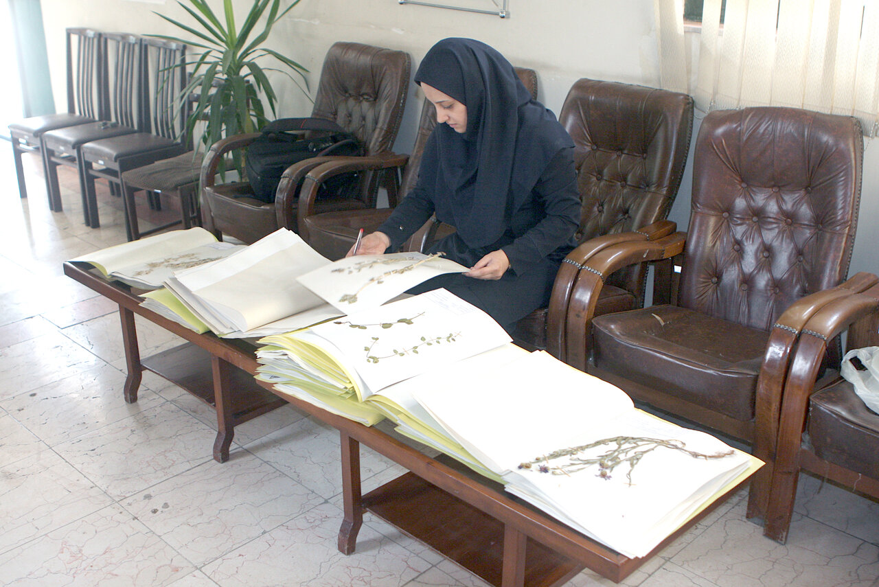 گیاهشناسی در باغ فـاروق | در خانه گل و گیاه پرورش دهید