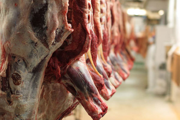 عرضه گوشت قرمز به قیمت سال گذشته؟  | میزان واردات روزانه گوشت اعلام شد