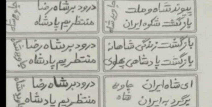 تصاویر | بازداشت یک زن در سالگرد آیلار حقی | این زن مشکوک که بود؟ | آنچه در موبایل و خودرویش پیدا شد
