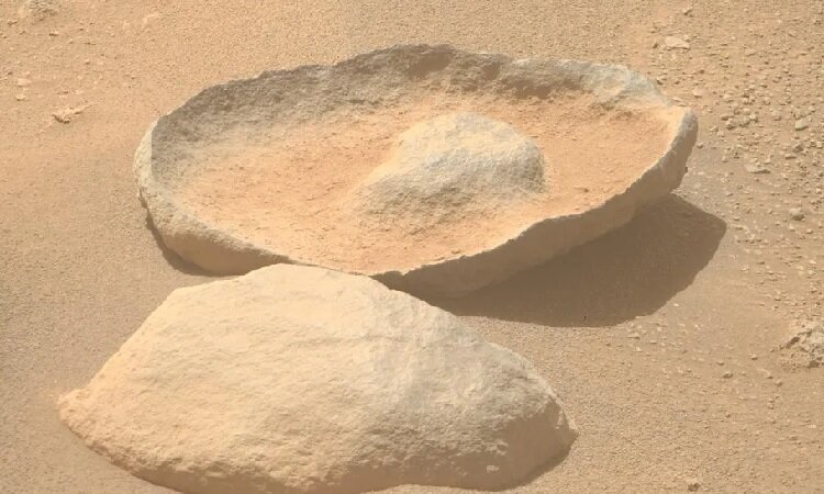 پیدا شدن آواکادو در مریخ! | شگفتی‌های سیاره سرخ تمامی ندارد