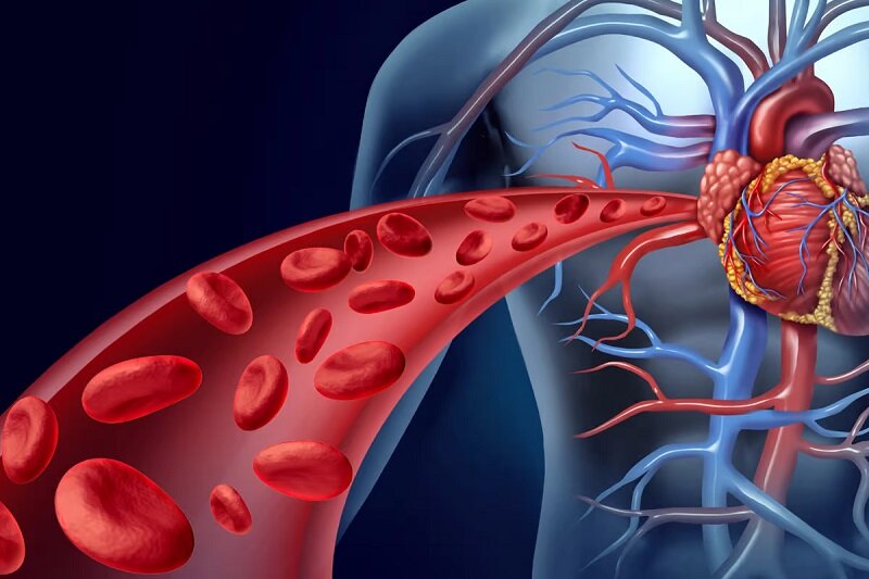 اسرار خواب آلودگی پس از صبحانه | چه کنیم احساس خستگی نکنیم؟