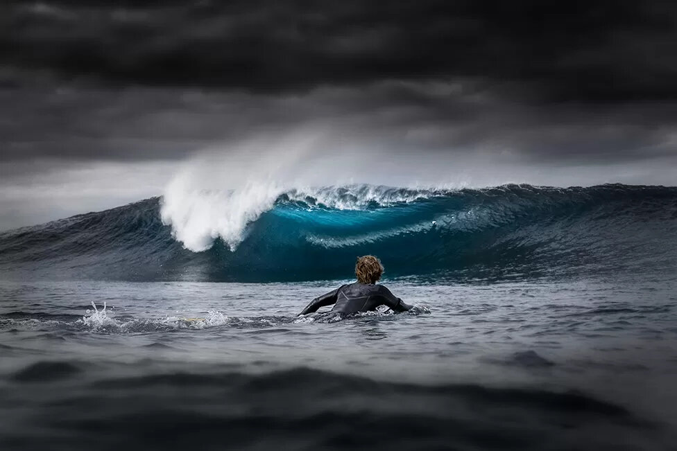 مجموعه بهترین عکس‌های دنیا از زندگی در اقیانوس 
