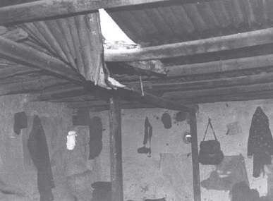 پدر کُرد به داد دخترانش رسید/ ماجرای نجات دو پرستار از محاصره دشمن