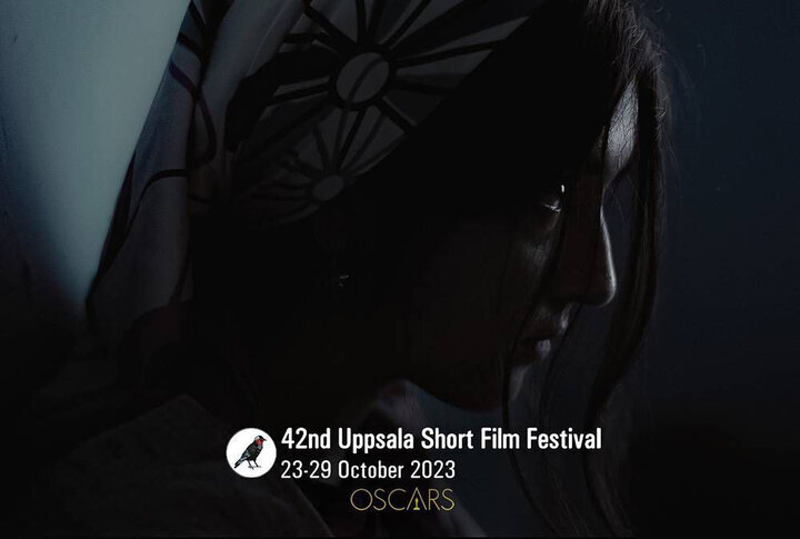 داستان زندگی دختر سیزده سالهای که اجازه دوچرخه سواری ندارد ...