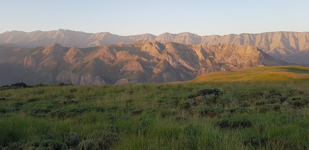 بزرگترین واقف قرن جدید را بشناسید | وقف ۱۵هزار میلیارد تومانی