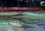 تصاویر | نشت نفت در سواحل گناوه | اعزام شناورهای مخصوص پاکسازی