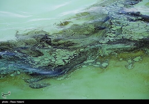 آلودگی نفتی خط انتقال نفت از گناوه به جزیره خارک