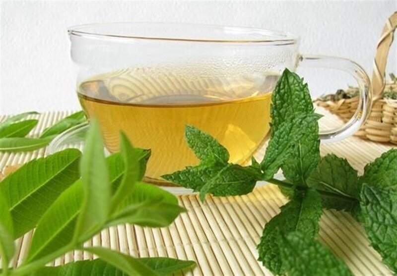 از بین بردن کامل نفخ شکم و یبوست با این مواد غذایی ؛ ۸ غذای برتر برای سلامت روده | برای بهبود عملکرد سیستم گوارشی چه نکاتی را رعایت کنیم؟