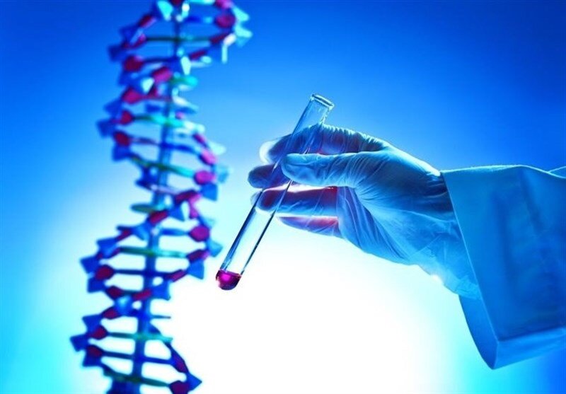 کاهش خطر آلزایمر با این نوع پنیر ؛ خواص باورنکردنی پنیر را بشناسید | ۶ نکته مهم درباره پنیر که بهتر است بدانید