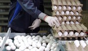 صف خرید تخم مرغ در میادین میوه و تره بار!  | عرضه تخم مرغ کم شد؟