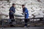 واردات ۳ کشتی شکر برای تنظیم بازار | قیمت شکر فله کیلویی چند شد؟