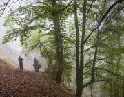 تصاویری جالب از یک زوج جنگل نشین در گیلان | از کودکی با شکار ارتزاق می‌کردم | صدای اکثر حیوانات جنگلی را شنیده‌ و حتی آنها را از نزدیک دیده‌ام