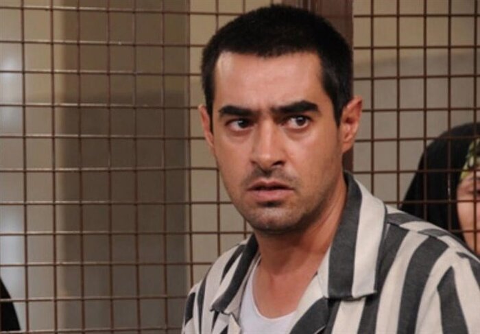 تصاویر | شهاب حسینی و نیکی کریمی به تلویزیون میآیند | خبر خوش درباره یک سریال توقیفی