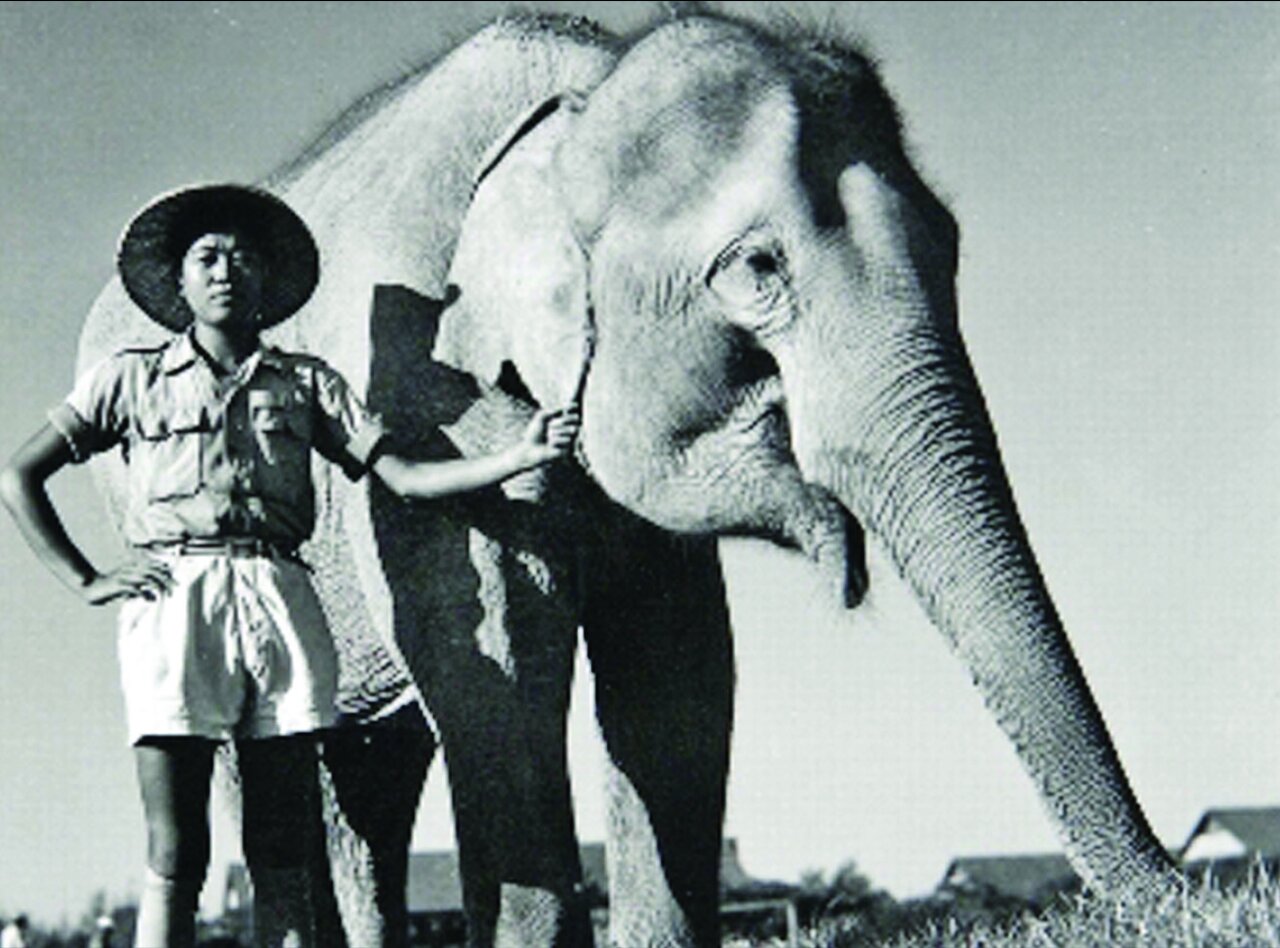 از لاکپشتی که ۱۷۸ سال عمر کرد تاعنکبوت ۲۸ ساله! | تصاویر جالبی از پیروپاتال های دنیای حیوانات