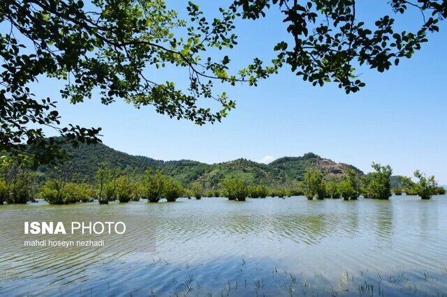 تصاویری زیبا از تالاب مهمی که به لطف بارش های سیل آسا احیا شد