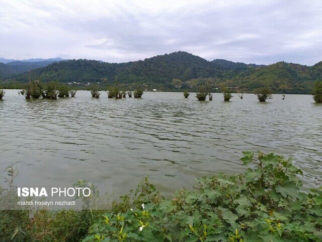 تصاویری زیبا از تالاب مهمی که به لطف بارش های سیل آسا احیا شد