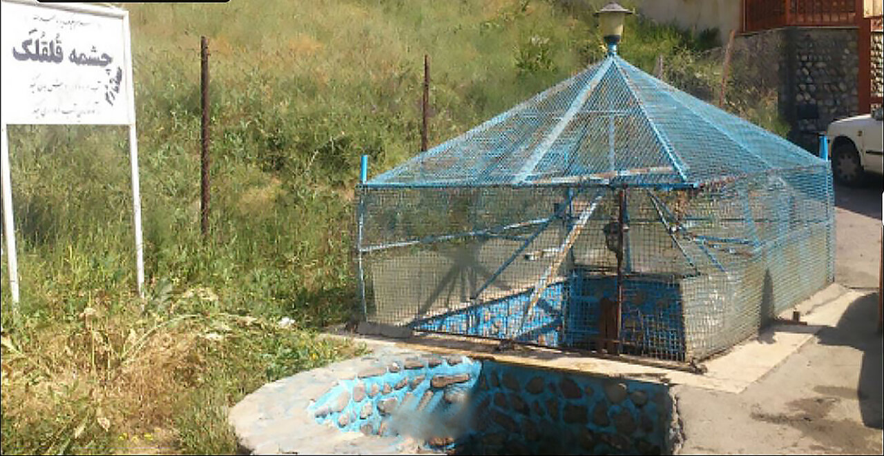 سفر به سرزمین چشمههای بکر