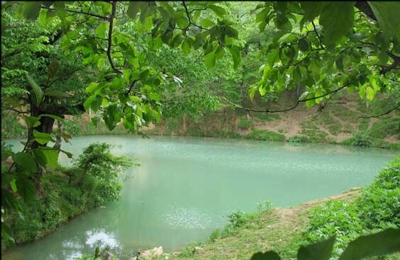 سفر به سرزمین چشمههای بکر