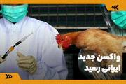 واکسن جدید ایرانی رسید