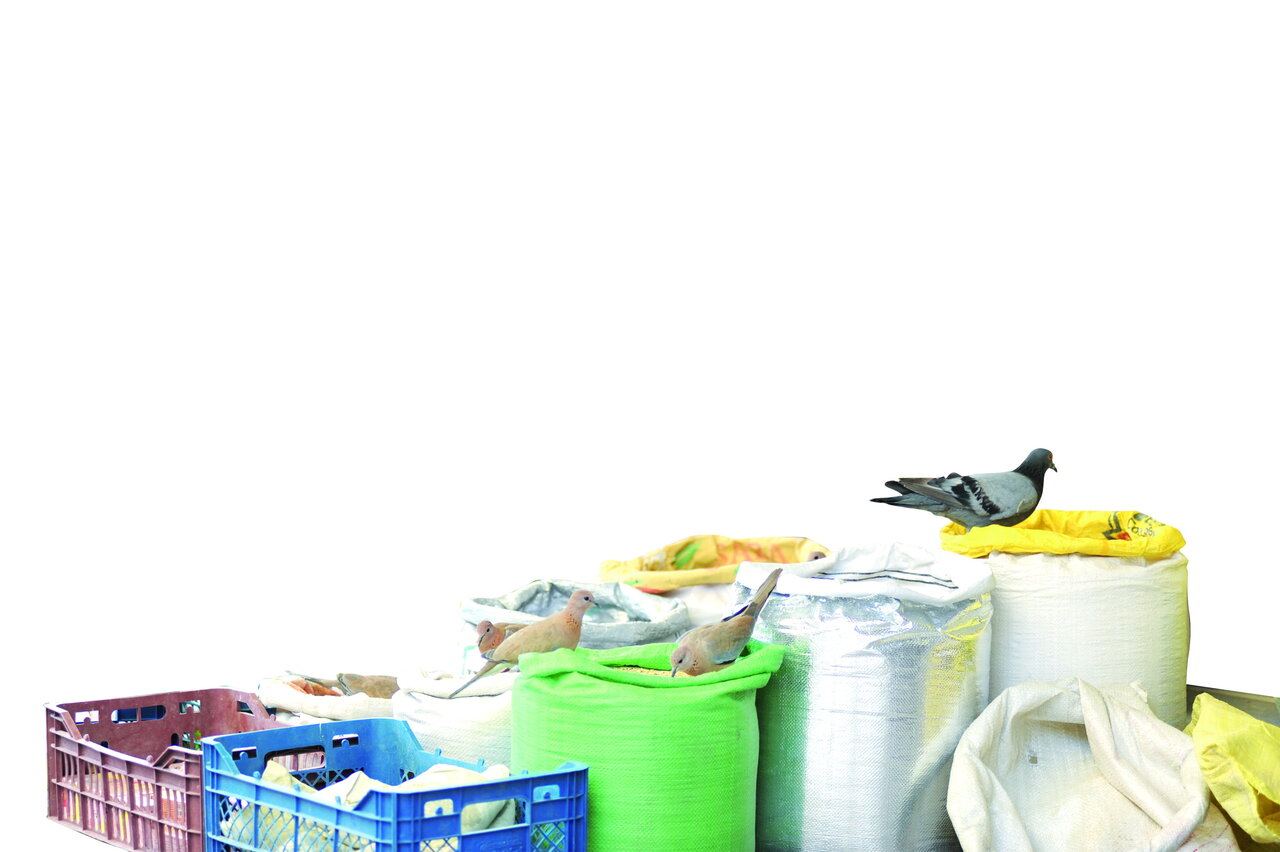 رازهای یک عطاری متفاوت | آقا و خانم کبوتر چطور به نیازمندان کمک میکنند؟