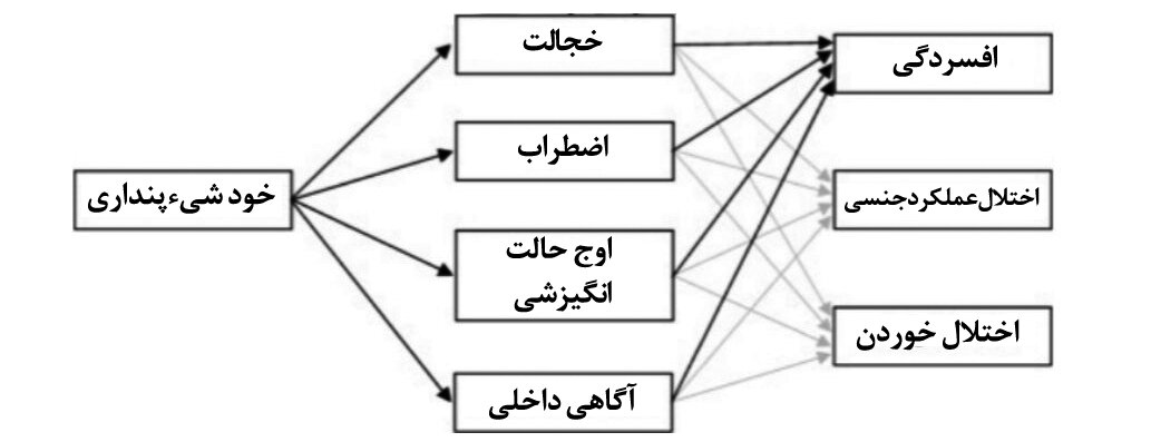 زنان مدل در اینستاگرام چه بلایی سر فالوئرهایشان میآوردند؟ | لایک و پول برای آنها، اختلال روانی برای شما