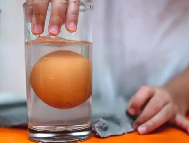 تشخیص تخم مرغ فاسد از سالم با این ۵ راه ساده | تشخیص تخم مرغ سالم در آب چگونه است؟