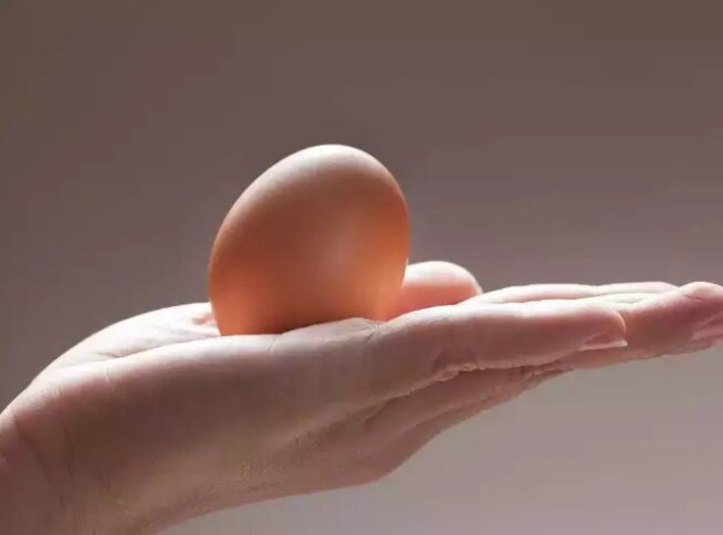 تشخیص تخم مرغ فاسد از سالم با این ۵ راه ساده | تشخیص تخم مرغ سالم در آب چگونه است؟