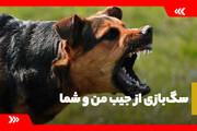 سگ بازی از جیب من وشما