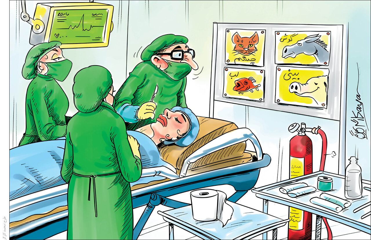 تغییر رنگ چشم و گوش خفاشی ۱۰۰ میلیون تومان! | قیمتهای نجومی برای عملهای زیبایی لاکچری | ماجرای دردناک دختری که میخواهد نخستین زن مارمولکی دنیا شود